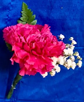Pink Carnation Boutineer